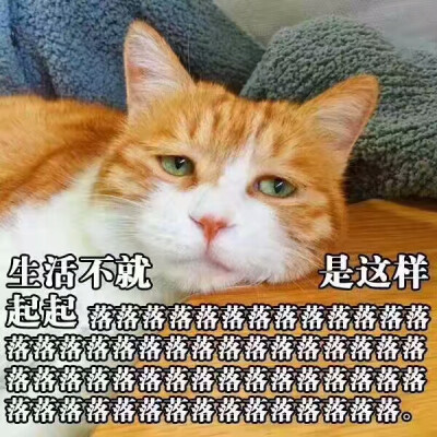 生活不就是这样起起落落落落落|･ω･｀)