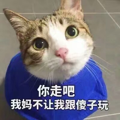 哦你走吧 我妈不让我和傻子玩儿(′?д?｀)