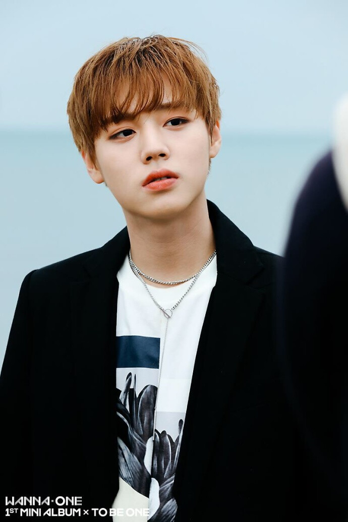 男版Produce101 WANNA·ONE 朴志训朴智勋