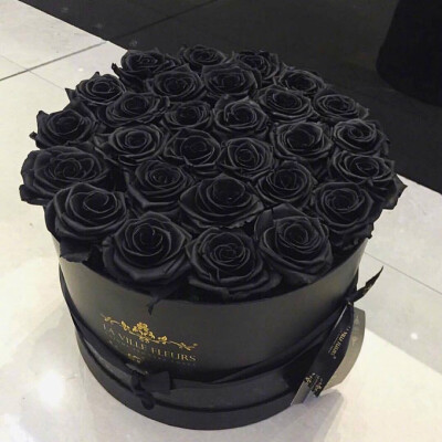 黑玫瑰