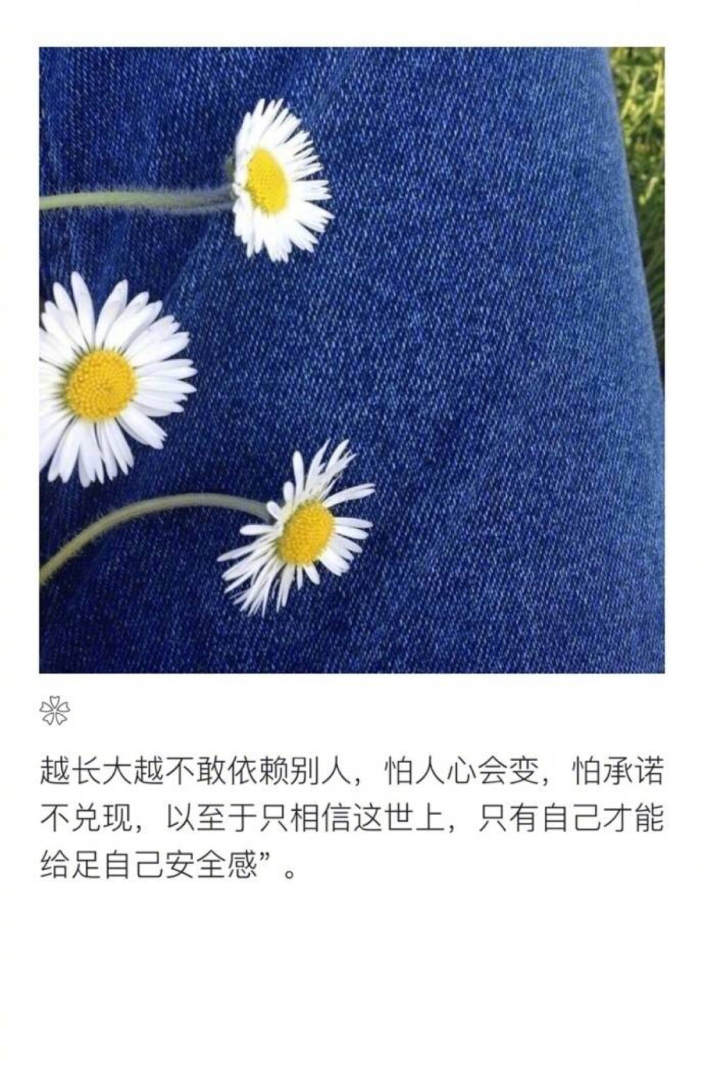  愿你活出自己想要的人生，
无论何时，年华都盛开