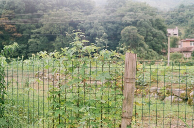 生活的光芒
背景 夏日 封面 壁纸