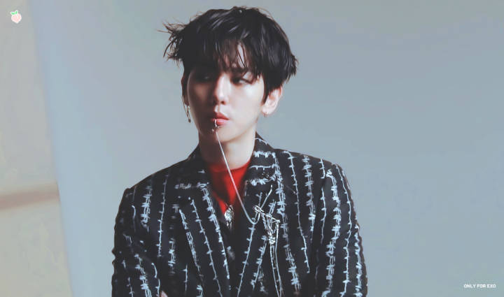 EXO Baekhyun 边伯贤 美颜盛世边伯贤 crlogo