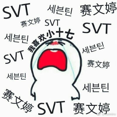 表情包 seventeen