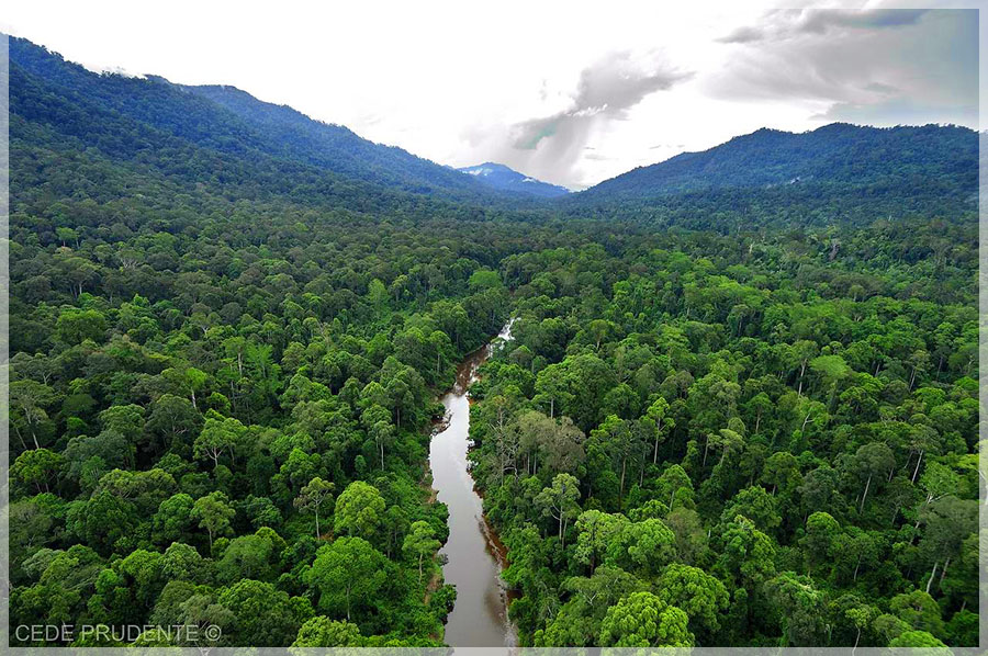 malaysia national parks, sabah, maliau basin conversation area