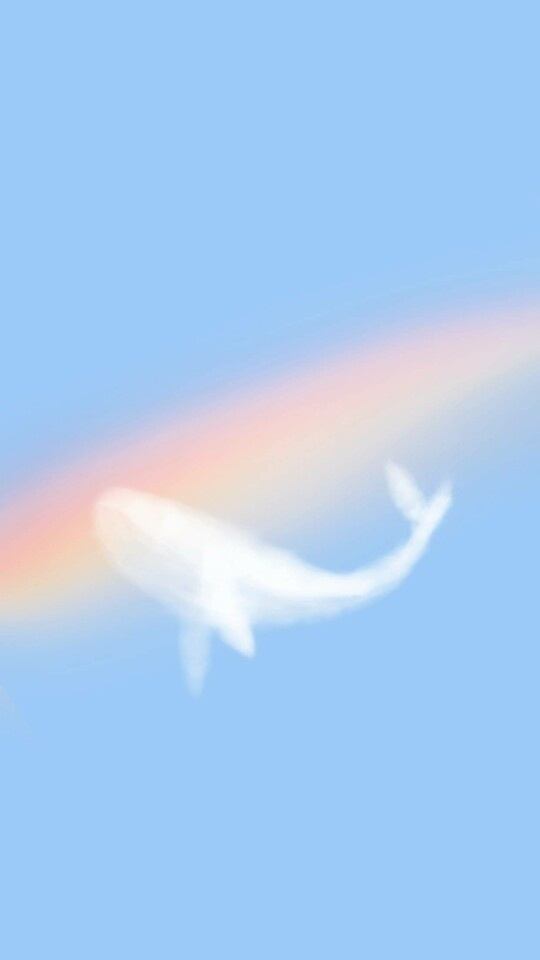 壁纸.简约.云.鲸.彩虹