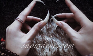 长指甲，long nails，snowdevi - 高清图片，堆糖，美图壁纸兴趣社区