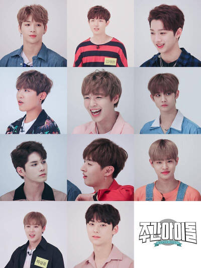 wanna one 一周的偶像