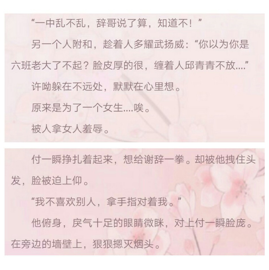 《她的小梨涡》·唧唧的猫
谢辞♡许呦
“一中乱不乱，辞哥说了算”
♡♡♡