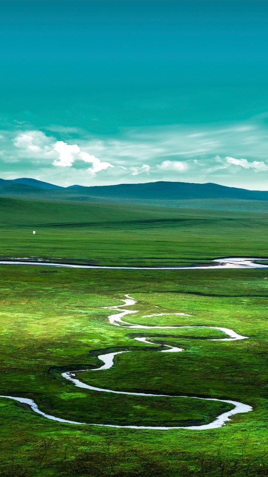 草原
风景
自然
美图