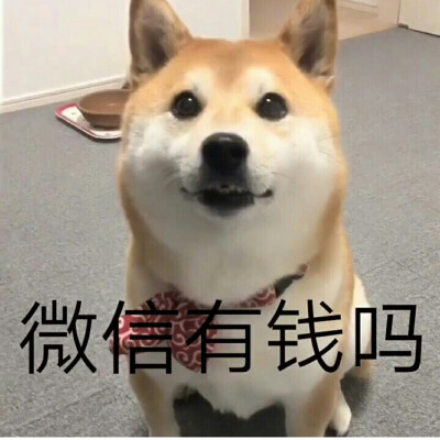 蓝雯婧