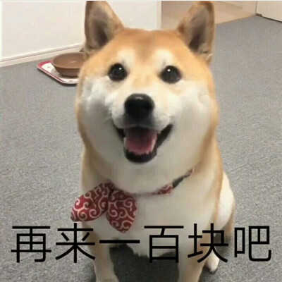 蓝雯婧