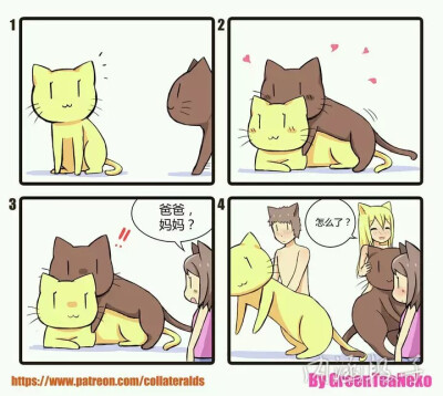 绿茶猫
