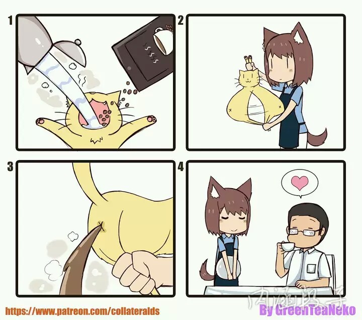 绿茶猫