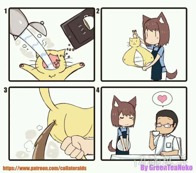 绿茶猫