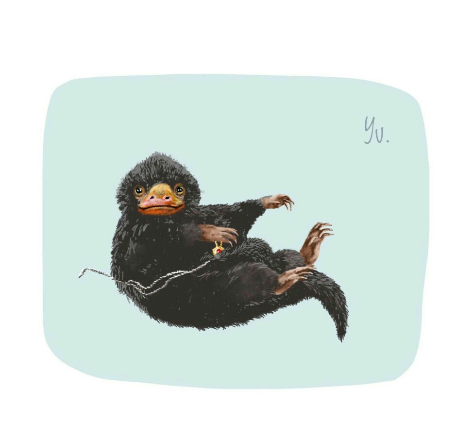 飞扬的niffler