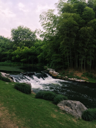 既窈窕以寻壑，亦崎岖而经丘。木欣欣以向荣，泉涓涓而始流。——青芝坞去西湖路过玉古路边的竹林，里面也是别有洞天。本地人爱去的地方。环境很好很幽静。