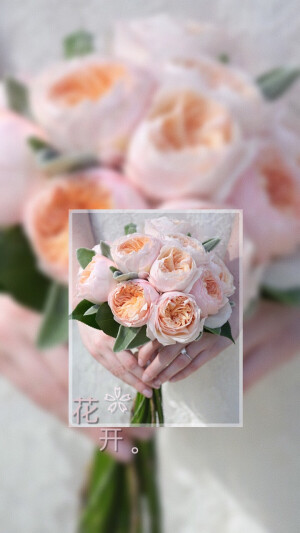 I love flowers
小碎花自制原创壁纸