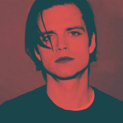 sebastian stan