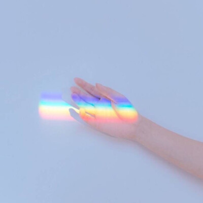 部分头