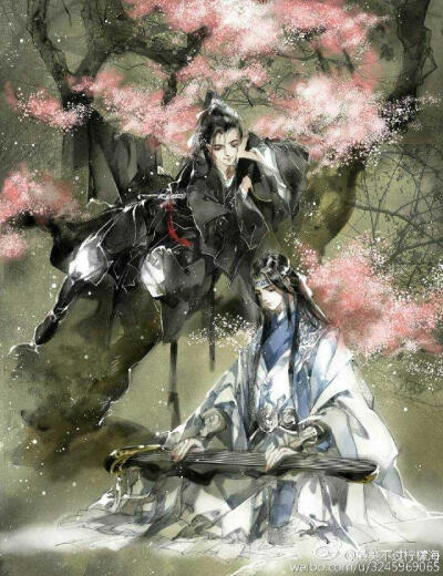 魔道祖师，魏无羡，魏婴，蓝忘机，蓝湛，蓝二哥哥，含光君