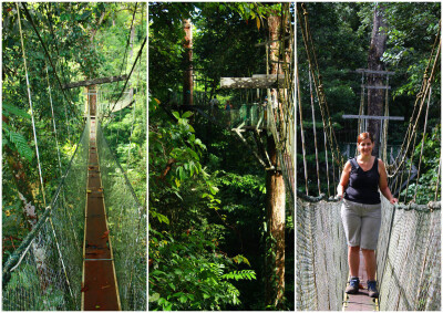 Malaysia National Parks, Sarawak, Mulu 姆禄国家公园, 砂拉越州属, 马来西亚