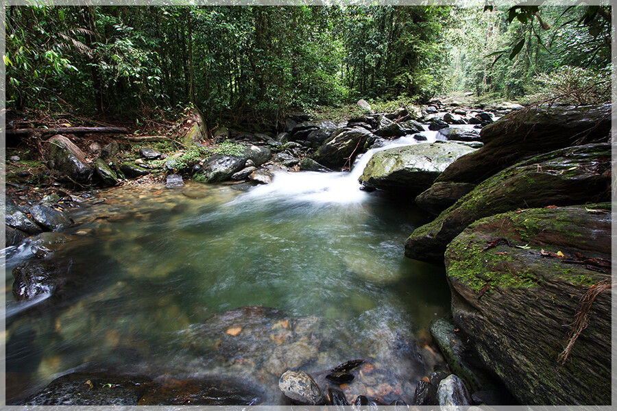 Malaysia National Parks, Sarawak, Mulu 姆禄国家公园, 砂拉越州属, 马来西亚