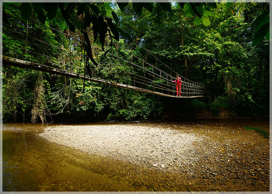 Malaysia National Parks, Sarawak, Mulu 姆禄国家公园, 砂拉越州属, 马来西亚