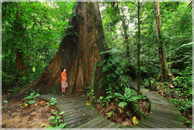 Malaysia National Parks, Sarawak, Mulu 姆禄国家公园, 砂拉越州属, 马来西亚