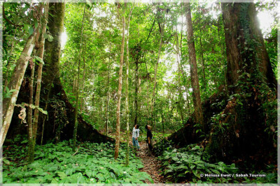 Malaysia National Parks, Sarawak, Mulu 姆禄国家公园, 砂拉越州属, 马来西亚