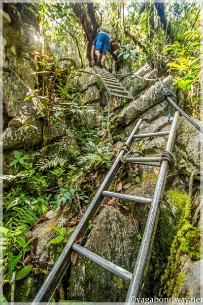 Malaysia National Parks, Sarawak, Mulu 姆禄国家公园, 砂拉越州属, 马来西亚