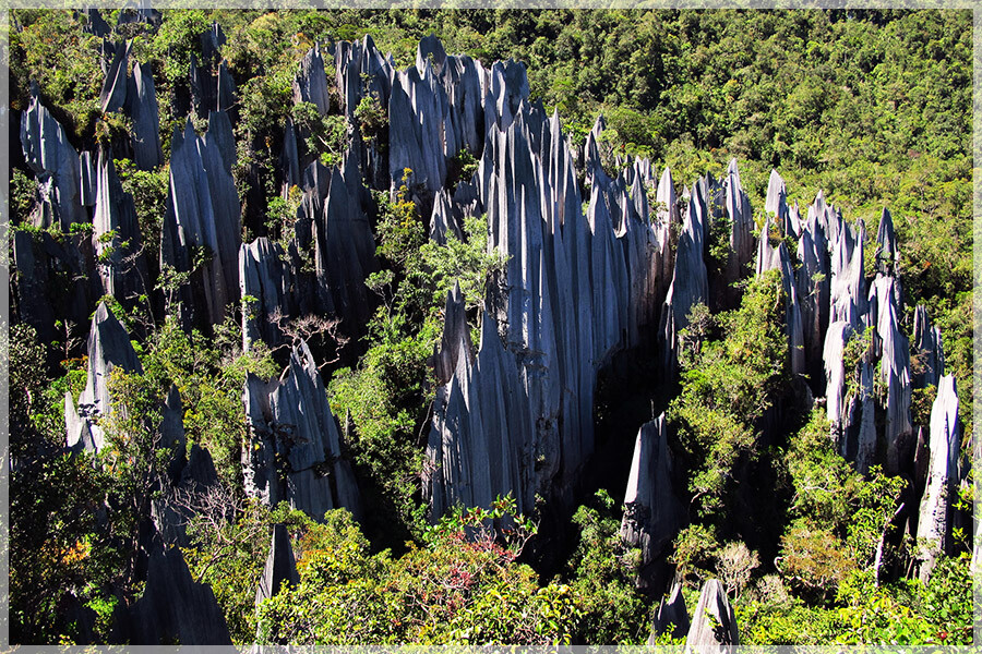 Malaysia National Parks, Sarawak, Mulu 姆禄国家公园, 砂拉越州属, 马来西亚