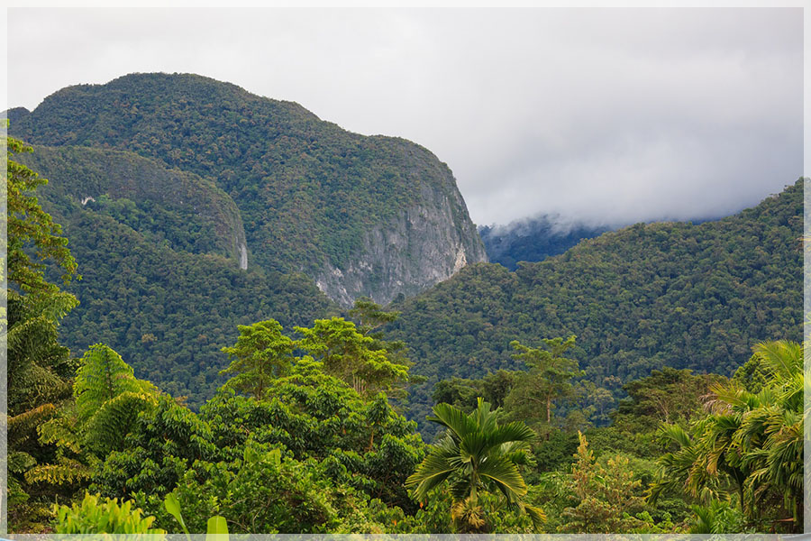 Malaysia National Parks, Sarawak, Mulu 姆禄国家公园, 砂拉越州属, 马来西亚