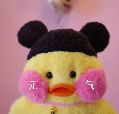 元气duck