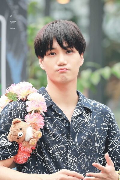 EXO 金钟仁 KAI