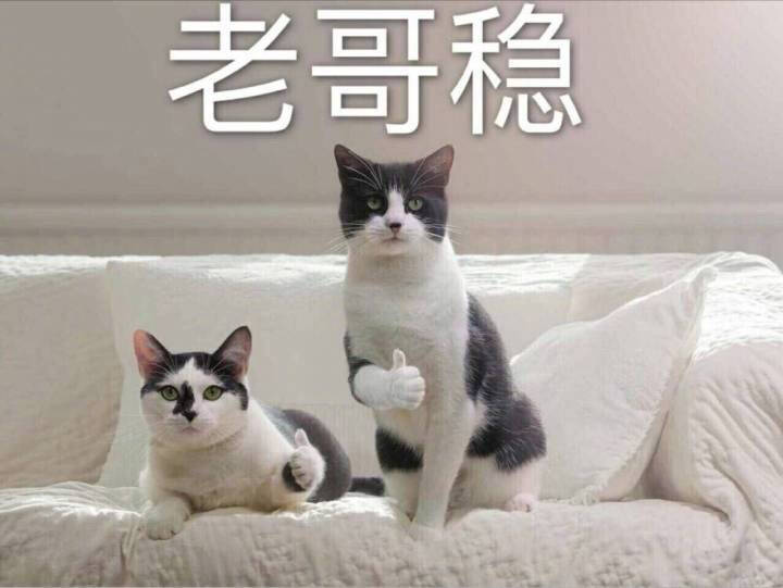 老哥稳