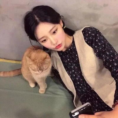 猫和女孩