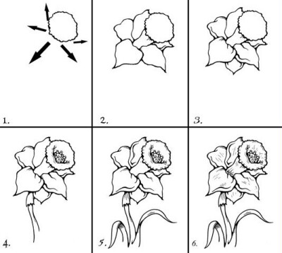 鲜花绘画素材~ （图片来自网络搜集整理） ​​​​