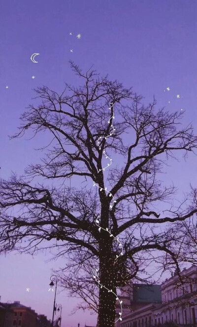 月色 壁纸 ❤️