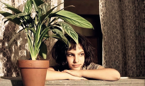 《这个杀手不太冷》