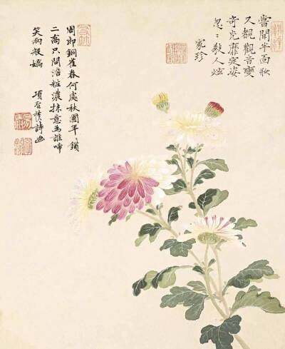 “淡彩没骨，纸上开花”·项圣谟——作品