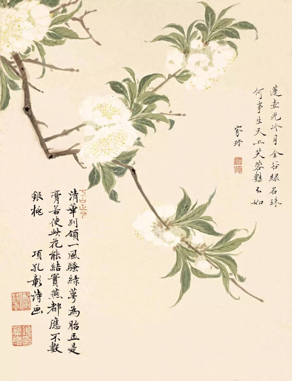 “淡彩没骨，纸上开花”·项圣谟——作品