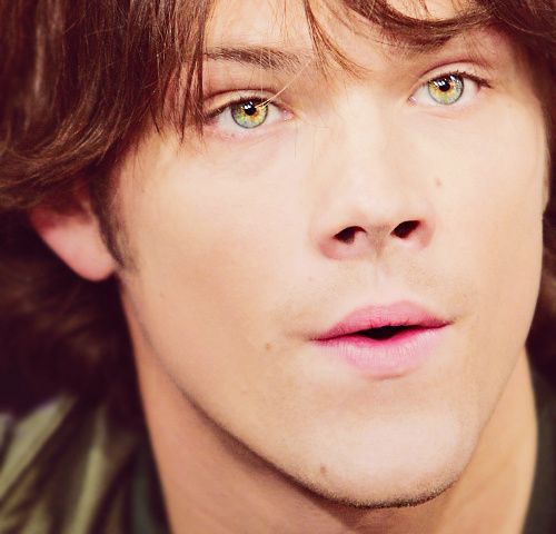 Jared