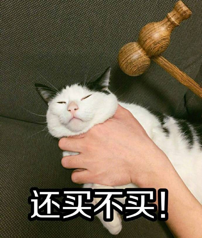 #立白大大#装逼专用表情包；搞笑；猫