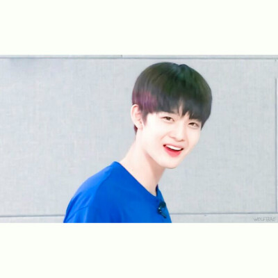 裴珍映 裴振英 小狼 wannaone 头像 by-cyy