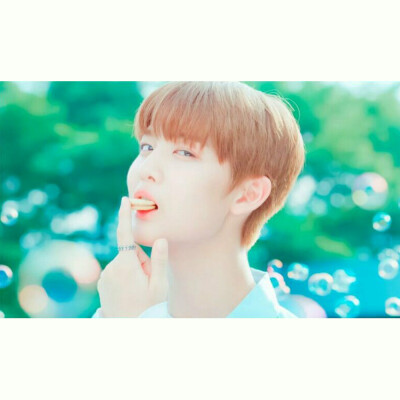 裴珍映 裴振英 小狼 wannaone 头像 by-cyy