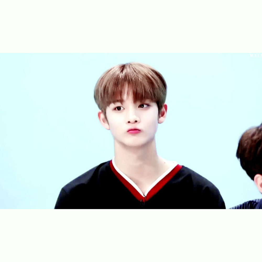 裴珍映裴振英小狼wannaone头像bycyy