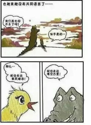 关于爱情