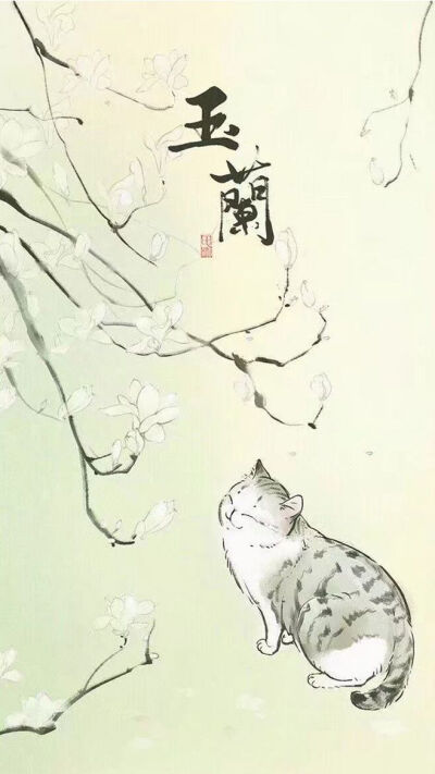 萌猫