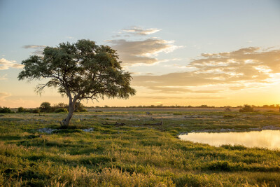 170821 - Okakuejo, NamibiaPhoto by Silvia Blasi